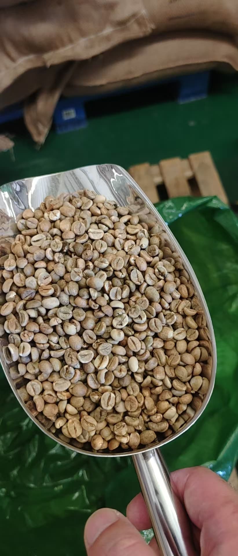 Image 1 of green coffee